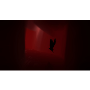 Rise of Insanity PS4 & PS5