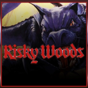 Risky Woods (QUByte Classics) PS4 & PS5