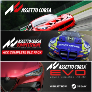 🎮Общий аккаунт Assetto Corsa EVO + 2 ЧАСТИ