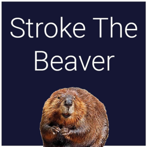 Stroke The Beaver PS5