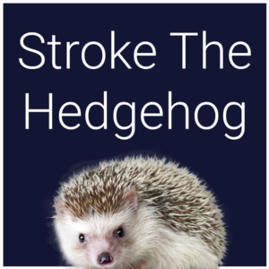 Stroke The Hedgehog PS5