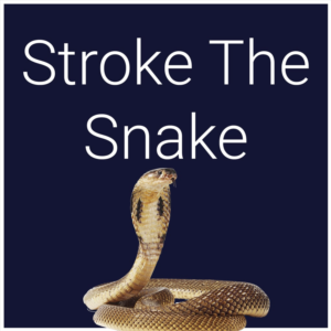 Stroke The Snake PS5