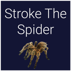 Stroke The Spider PS4 & PS5