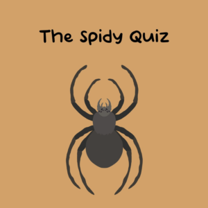 The Spidy Quiz PS5