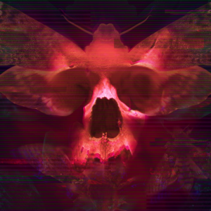 Transient: Extended Edition PS4 & PS5