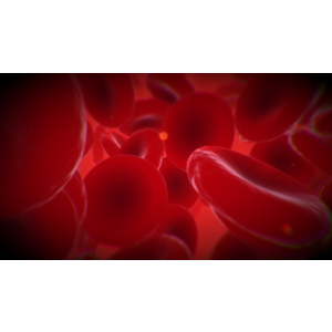 VEV: Viva Ex Vivo‎ VR Edition PS4 & PS5