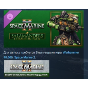 Warhammer 40,000 Space Marine 2 Salamanders Champion Pa