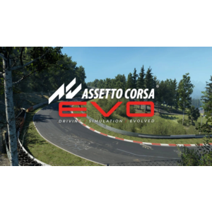 ⭐️ Assetto Corsa EVO [Steam/Global]