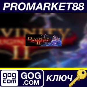 ⭐ Divinity: Original Sin 2 GOG КЛЮЧ 🔑 GLOBAL