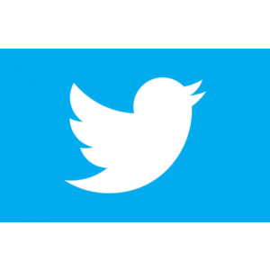 I Pay Your Twitter(X)Paid Features Or Any Subscription✅