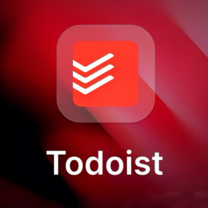 Todoist Pro 1 ГОД ПОДПИСКА НА ВАШ АККАУНТ ГЛОБАЛЬНО ✅