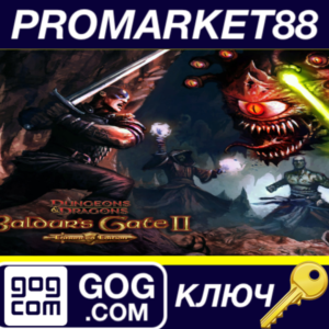 ⭐Baldur´s Gate II: Enhanced Edition GOG КЛЮЧ 🔑GLOBAL