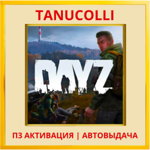 ☀️ DayZ (PS/PS4/PS5/RU) П3 - Активация