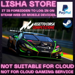 Assetto Corsa Competizione Стим Оффлайн на 90 дней