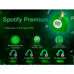 Spotify Premium Individual plan