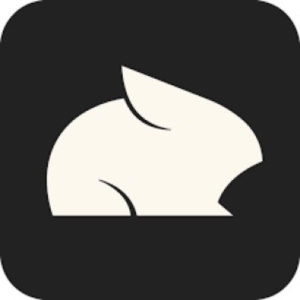 Подписка Pika AI🔥Standard/Pro/Fancy🔥