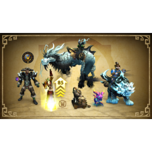 💥Зараженный ша эпический компл 🔷Battle.net 🔴ТУРЦИЯ🔴