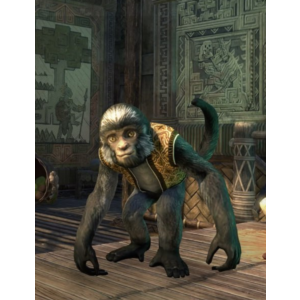 The Elder Scrolls Online 🌌КЛЮЧ🌌Обезьяна питомец
