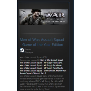 Men of War: Assault Squad GOTY GIFT GLOBAL REG FREE