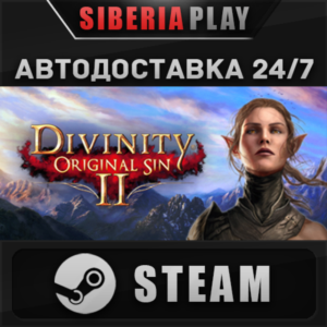 Divinity: Original Sin 2 - Eternal Edition STEAM АВТО