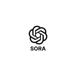 План Sora Ai $20plus, общий счет 1 месяц