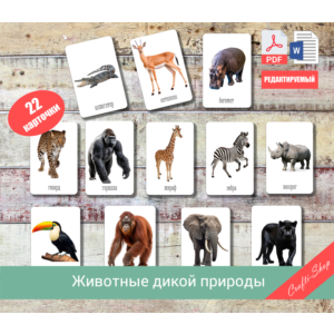 Флеш-карты "Животные дикой природы"