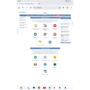 Готовый скрипт букса с защитой от взлома копия aviso