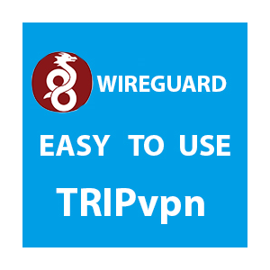 Ключ WireGuar VPN |РАБОТАЕТ В РФ|  1-6 мес. | Безлимит