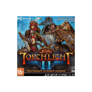 Torchlight II / Steam ключ / РФ+СНГ