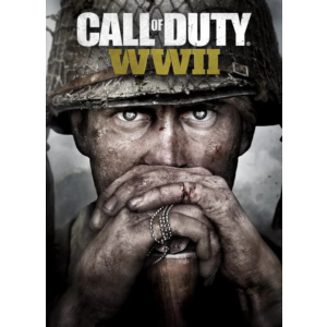🔥Call of Duty WWll (no steam guard)