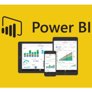 Power Bi Pro Account 2 года