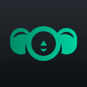 4ebur.net VPN (1 Год) (GLOBAL) АВТОДОСТАВКА