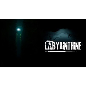 Labyrinthine, аренда STEAM ОНЛАЙН