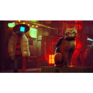 Stray - Оффлайн