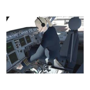 JARDesign CoPilot на ToLiss Airbus A319 для X-Plane