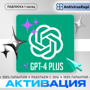 CHAT GPT PLUS/BUSINESS