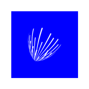 answerthepublic Экспертный кабинет 1 месяц