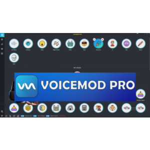 Voicemod PRO (1 месяц) (GLOBAL) АВТОДОСТАВКА