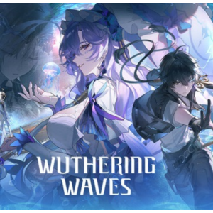 Wuthering Waves Донат Пропуск Наборы Шустрая доставка