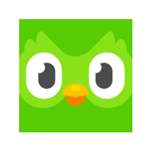 Duolingo Super | 1/3/6/12 месяцев | Подписка на ваш