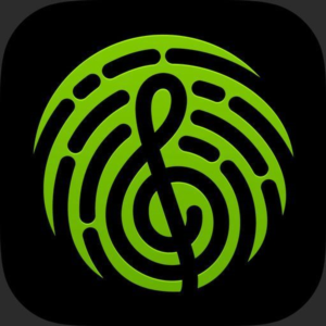 YOUSICIAN ПОДПИСКА PREMIUM PLUS НА 1  ГОД