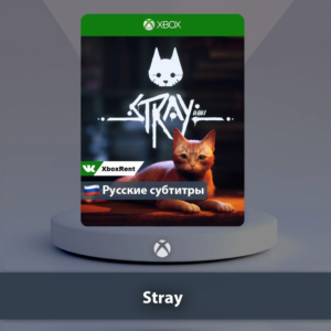 ☀️ Stray 🎮 Xbox One | Series X|S