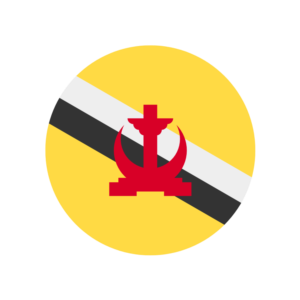 🔥 eSim Бруней ✅ сим-карта интернет от 7 дней BN