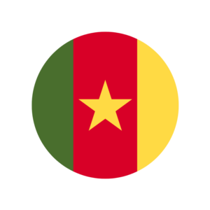 🔥 eSim КАМЕРУН ✅ сим-карта интернет от 7 дней CM