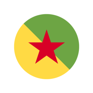 🔥 eSim Французская Гвиана ✅ интернет от 7 дней GF