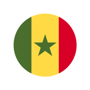 🔥 eSim СЕНЕГАЛ ✅ сим-карта интернет от 7 дней SN