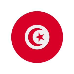 🔥 eSim ТУНИС ✅ сим-карта интернет от 7 дней TN