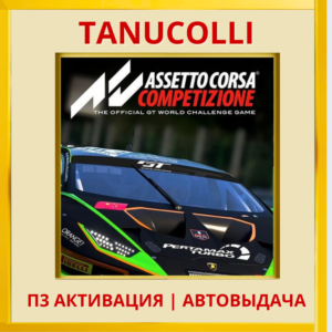 ☀️ Assetto Corsa Competizione (PS4/RU) П3 Активация