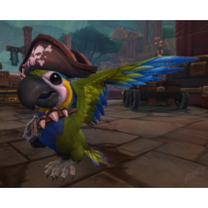 🔑WoW питомец: Cap´n Crackers✔️[EU/RU]