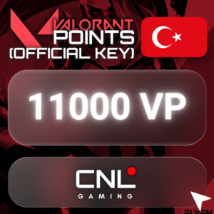 ⭐️ 8900 ПО — очки доблести (официальный КЛЮЧ) — Турция